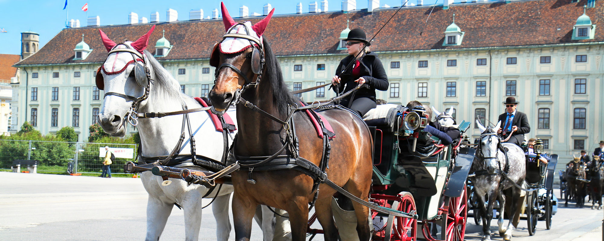 Horse carriagesA
