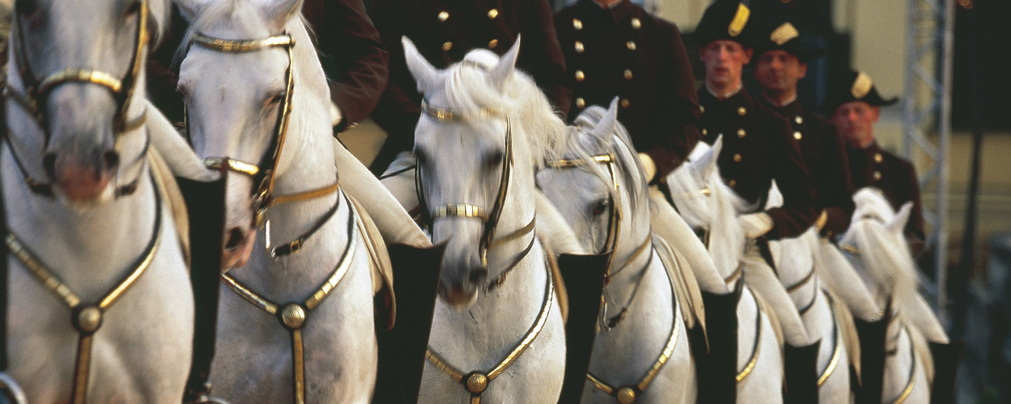 spanish riding school in viennaA