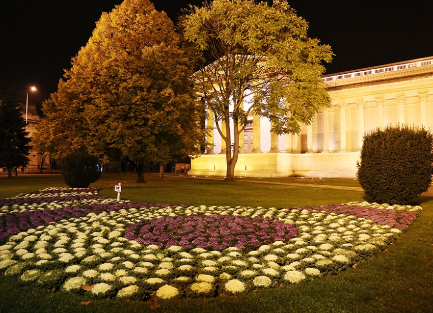 Museum of fine arts4