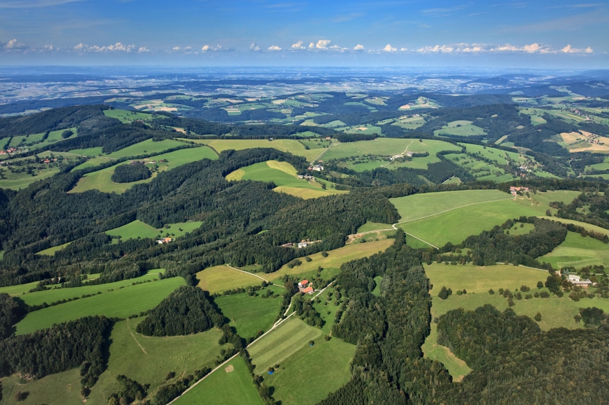 Vienna Woods